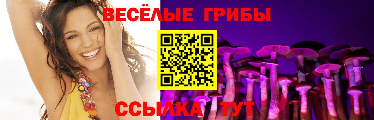 Гагарин  Псилоцибиновые грибы Magic Shrooms  Псилоцибиновые грибы ЛСД  Вход с VPN 